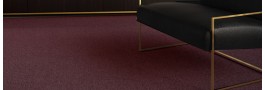 Gleam w2w (new 2021) | Arc Edition